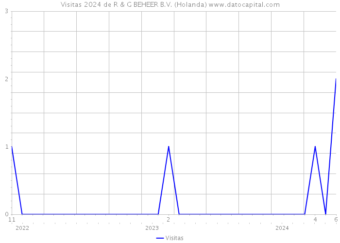 Visitas 2024 de R & G BEHEER B.V. (Holanda) 