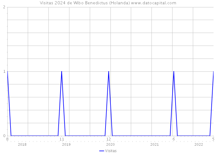 Visitas 2024 de Wibo Benedictus (Holanda) 