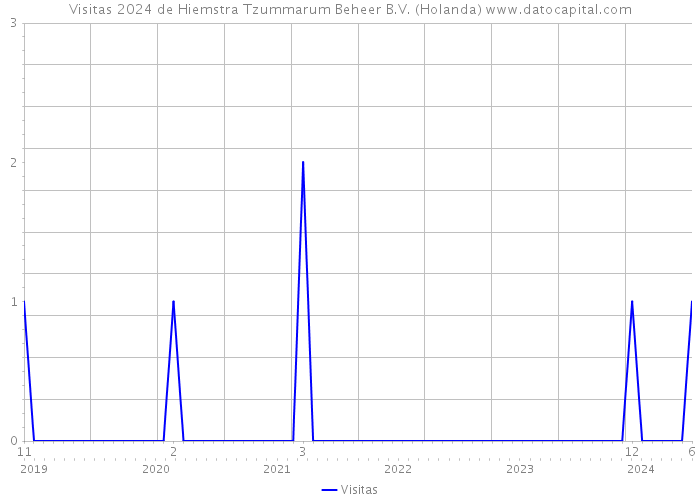 Visitas 2024 de Hiemstra Tzummarum Beheer B.V. (Holanda) 