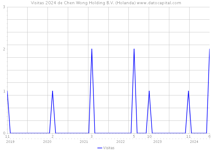 Visitas 2024 de Chen Wong Holding B.V. (Holanda) 