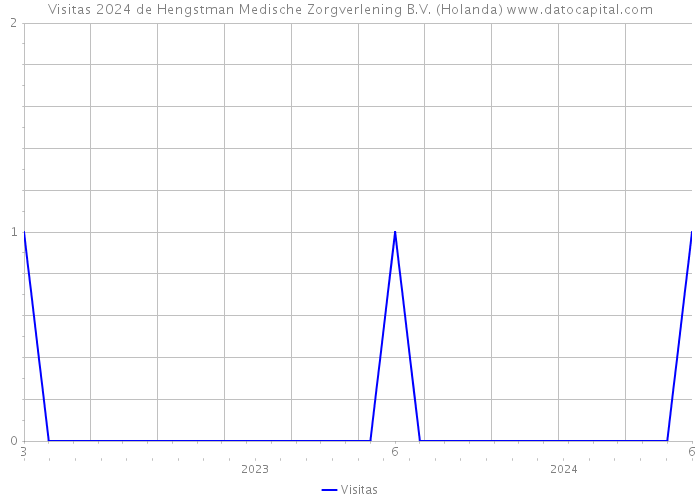 Visitas 2024 de Hengstman Medische Zorgverlening B.V. (Holanda) 