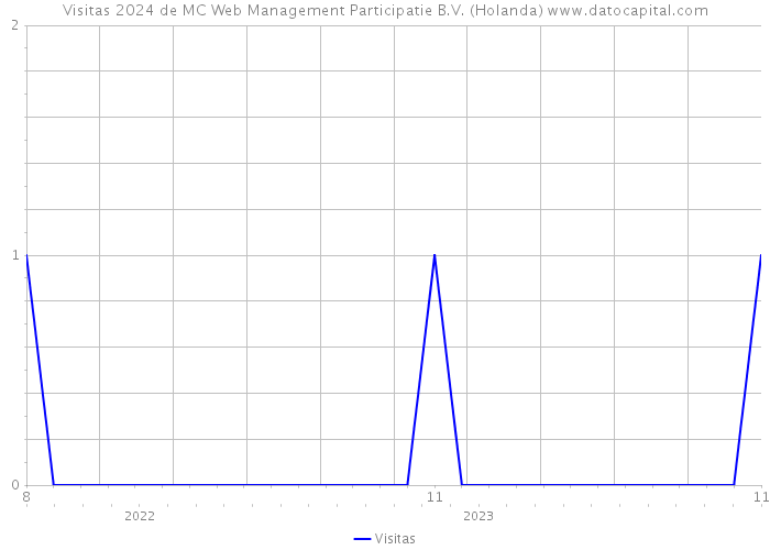Visitas 2024 de MC Web Management Participatie B.V. (Holanda) 