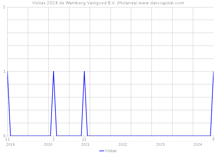 Visitas 2024 de Wamberg Vastgoed B.V. (Holanda) 