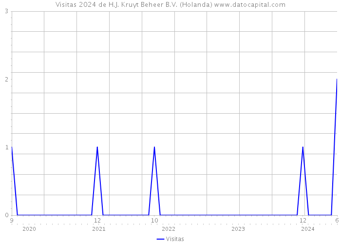 Visitas 2024 de H.J. Kruyt Beheer B.V. (Holanda) 