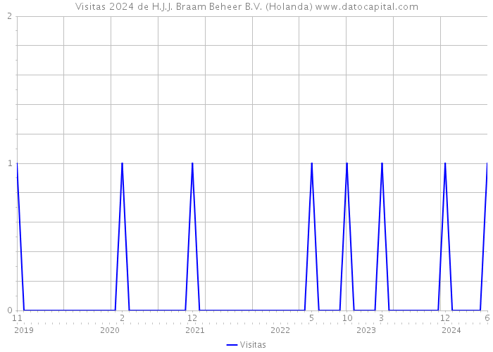 Visitas 2024 de H.J.J. Braam Beheer B.V. (Holanda) 