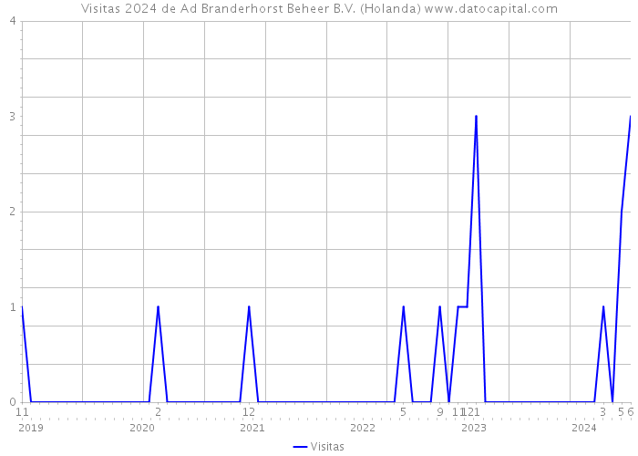 Visitas 2024 de Ad Branderhorst Beheer B.V. (Holanda) 