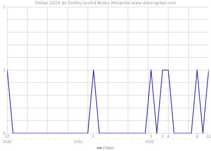 Visitas 2024 de Dmitry Leonid Bosky (Holanda) 