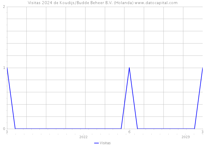 Visitas 2024 de Koudijs/Budde Beheer B.V. (Holanda) 