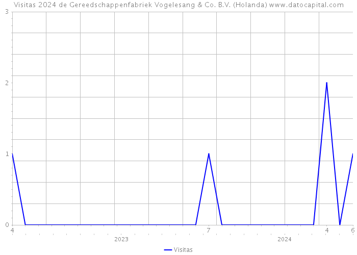 Visitas 2024 de Gereedschappenfabriek Vogelesang & Co. B.V. (Holanda) 