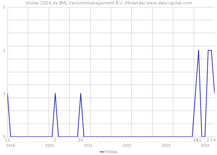 Visitas 2024 de BML Verzuimmanagement B.V. (Holanda) 