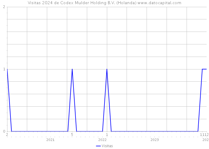 Visitas 2024 de Codex Mulder Holding B.V. (Holanda) 