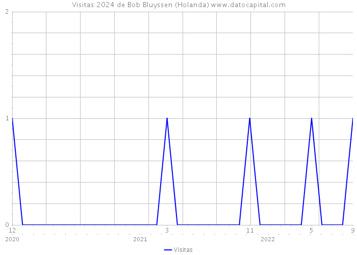 Visitas 2024 de Bob Bluyssen (Holanda) 