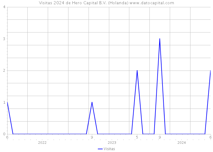 Visitas 2024 de Hero Capital B.V. (Holanda) 