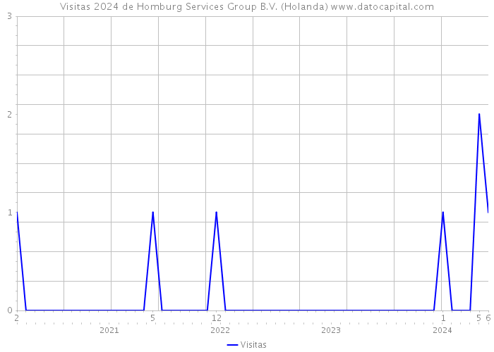 Visitas 2024 de Homburg Services Group B.V. (Holanda) 