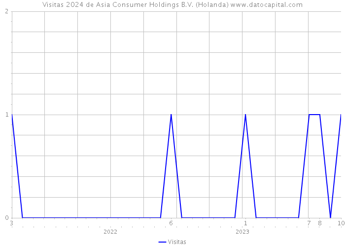 Visitas 2024 de Asia Consumer Holdings B.V. (Holanda) 
