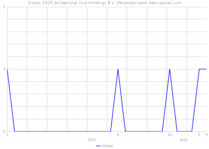 Visitas 2024 de National Grid Holdings B.V. (Holanda) 