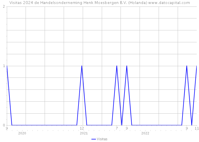 Visitas 2024 de Handelsonderneming Henk Moesbergen B.V. (Holanda) 