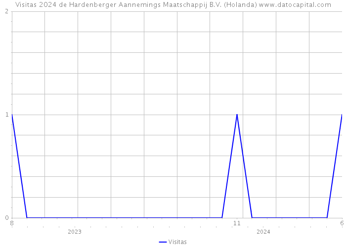 Visitas 2024 de Hardenberger Aannemings Maatschappij B.V. (Holanda) 