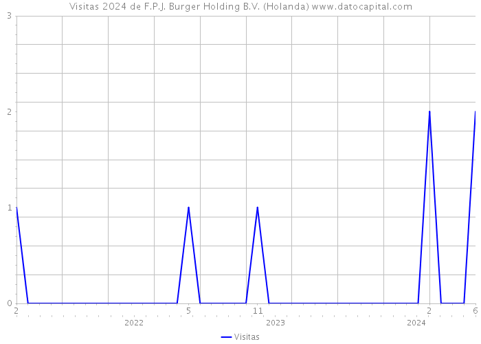 Visitas 2024 de F.P.J. Burger Holding B.V. (Holanda) 