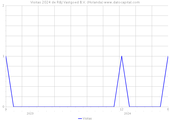 Visitas 2024 de R&J Vastgoed B.V. (Holanda) 