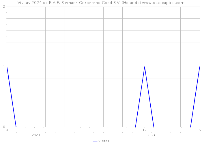 Visitas 2024 de R.A.F. Biemans Onroerend Goed B.V. (Holanda) 