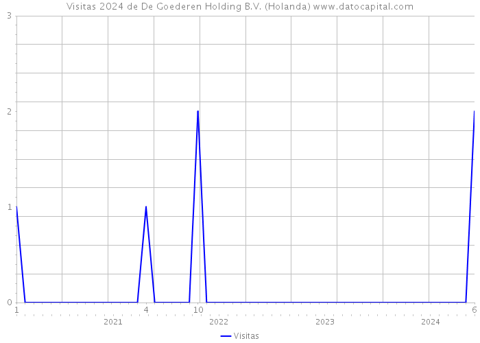 Visitas 2024 de De Goederen Holding B.V. (Holanda) 