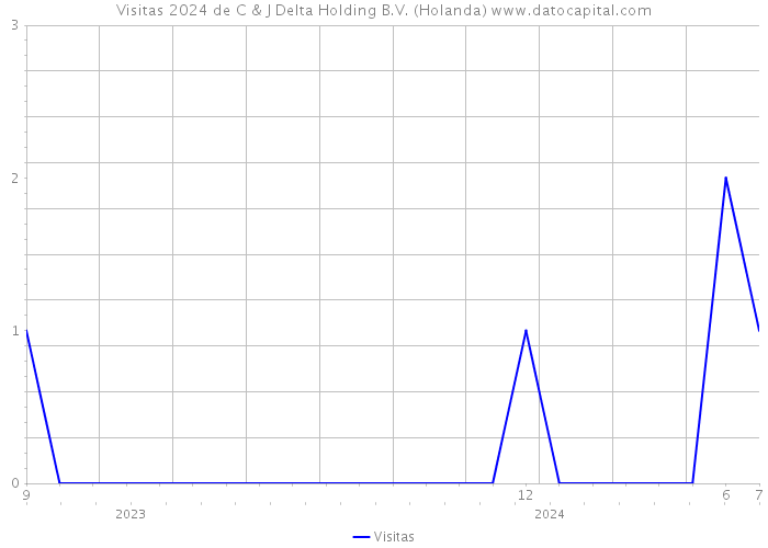 Visitas 2024 de C & J Delta Holding B.V. (Holanda) 