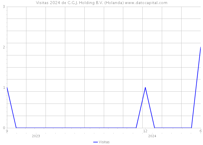 Visitas 2024 de C.G.J. Holding B.V. (Holanda) 