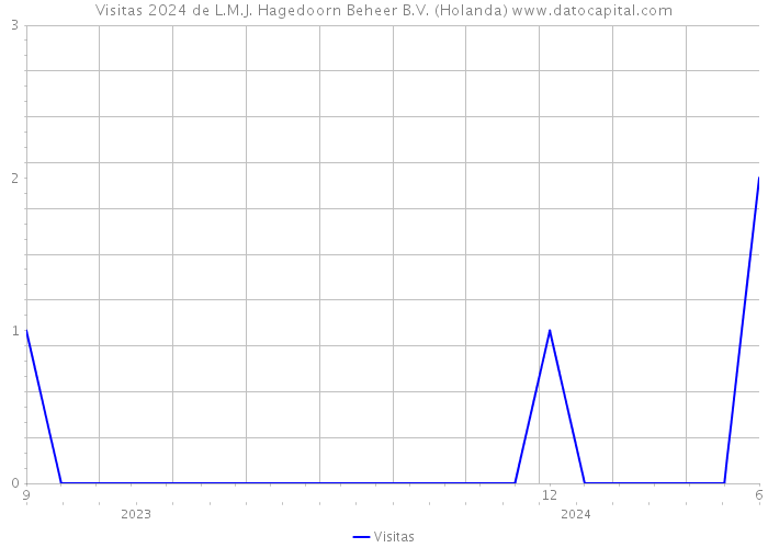 Visitas 2024 de L.M.J. Hagedoorn Beheer B.V. (Holanda) 