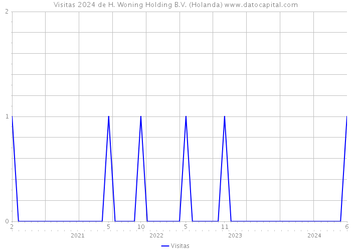 Visitas 2024 de H. Woning Holding B.V. (Holanda) 