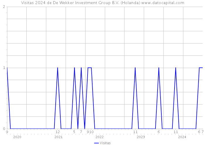 Visitas 2024 de De Wekker Investment Group B.V. (Holanda) 
