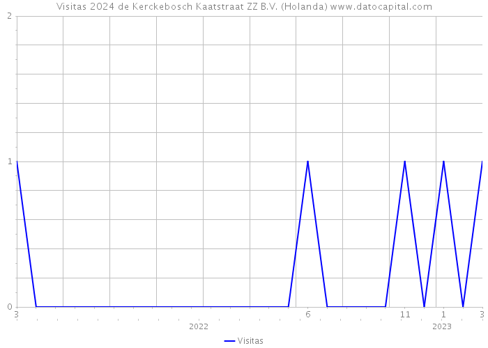 Visitas 2024 de Kerckebosch Kaatstraat ZZ B.V. (Holanda) 
