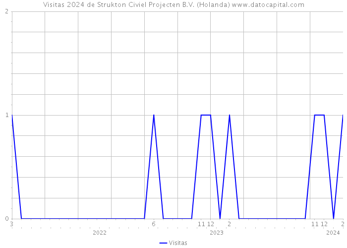 Visitas 2024 de Strukton Civiel Projecten B.V. (Holanda) 