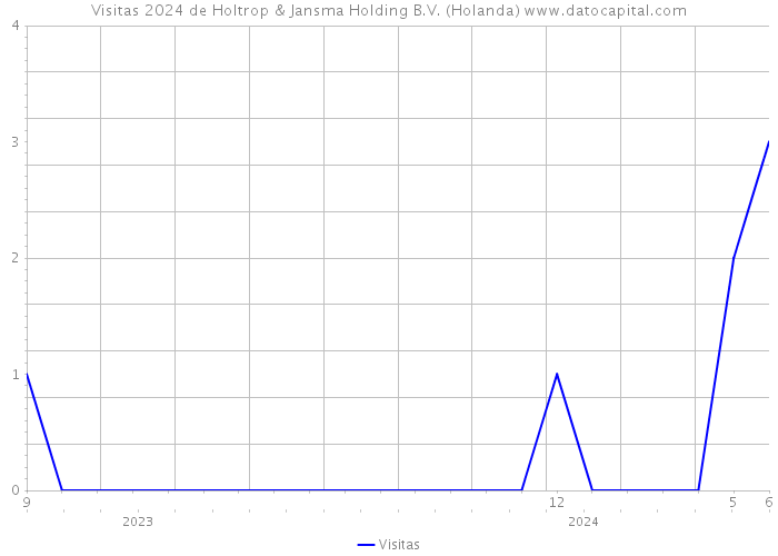 Visitas 2024 de Holtrop & Jansma Holding B.V. (Holanda) 