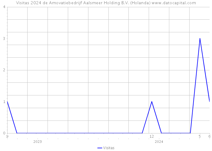 Visitas 2024 de Amovatiebedrijf Aalsmeer Holding B.V. (Holanda) 