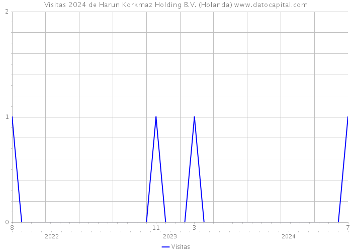 Visitas 2024 de Harun Korkmaz Holding B.V. (Holanda) 
