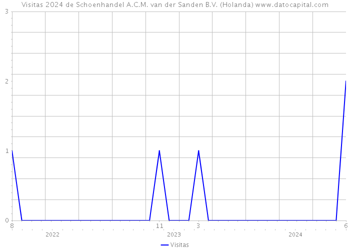 Visitas 2024 de Schoenhandel A.C.M. van der Sanden B.V. (Holanda) 