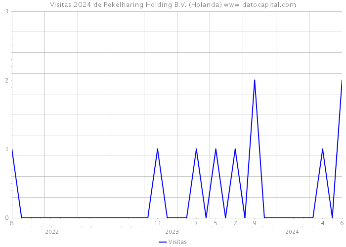 Visitas 2024 de Pekelharing Holding B.V. (Holanda) 