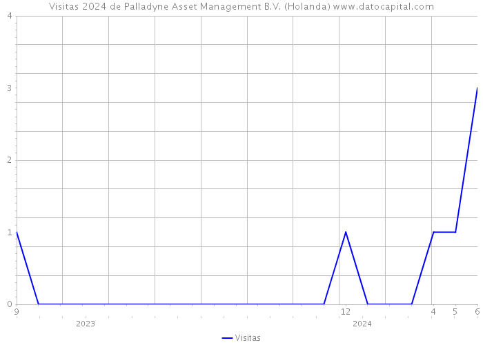 Visitas 2024 de Palladyne Asset Management B.V. (Holanda) 