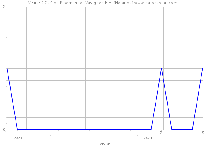 Visitas 2024 de Bloemenhof Vastgoed B.V. (Holanda) 