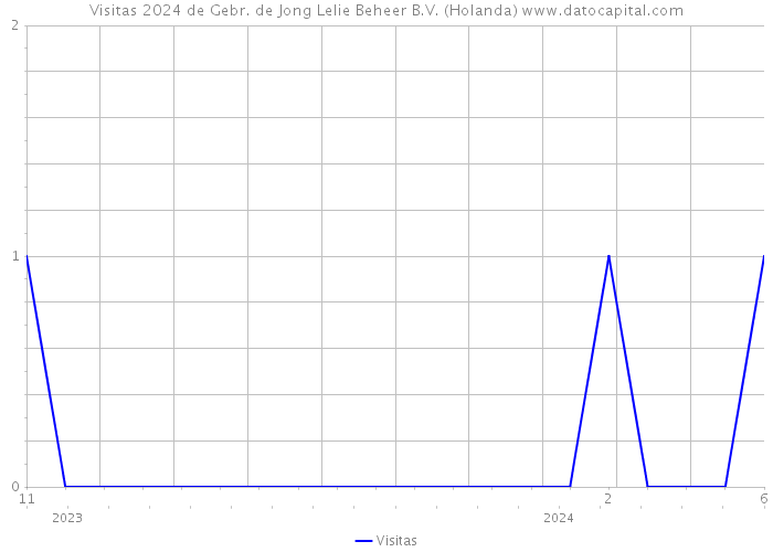 Visitas 2024 de Gebr. de Jong Lelie Beheer B.V. (Holanda) 