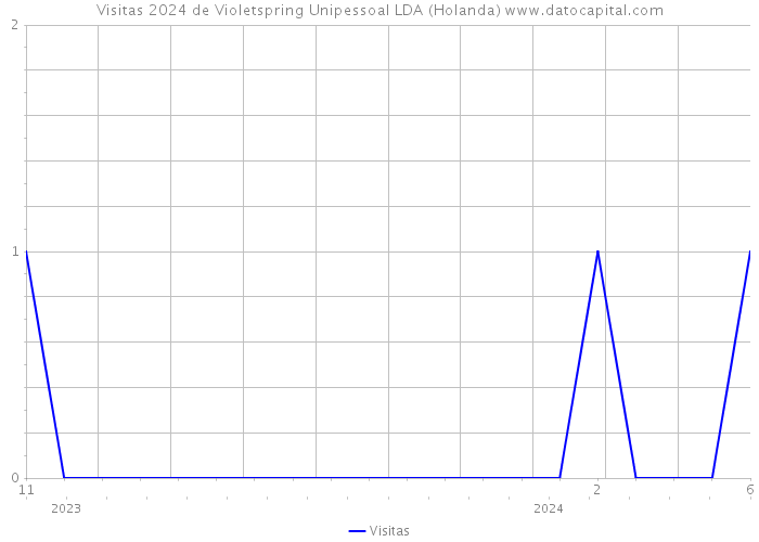 Visitas 2024 de Violetspring Unipessoal LDA (Holanda) 