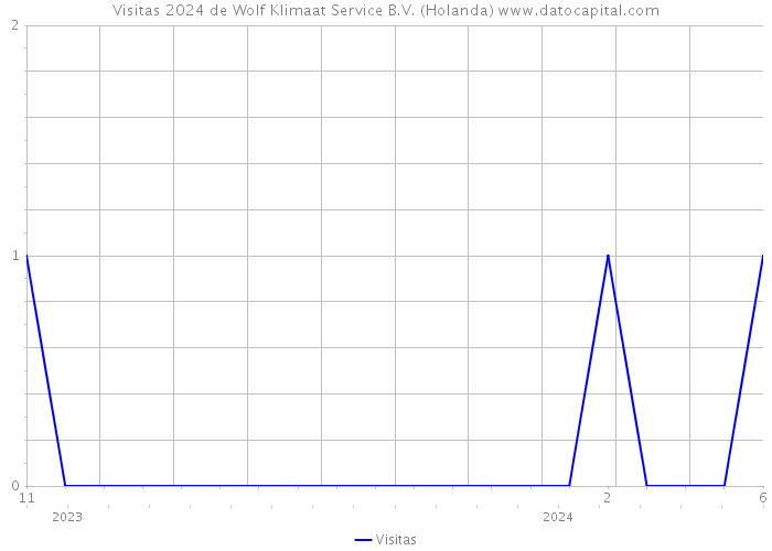 Visitas 2024 de Wolf Klimaat Service B.V. (Holanda) 