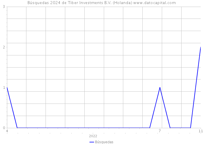 Búsquedas 2024 de Tiber Investments B.V. (Holanda) 