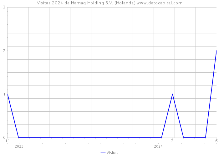Visitas 2024 de Hamag Holding B.V. (Holanda) 