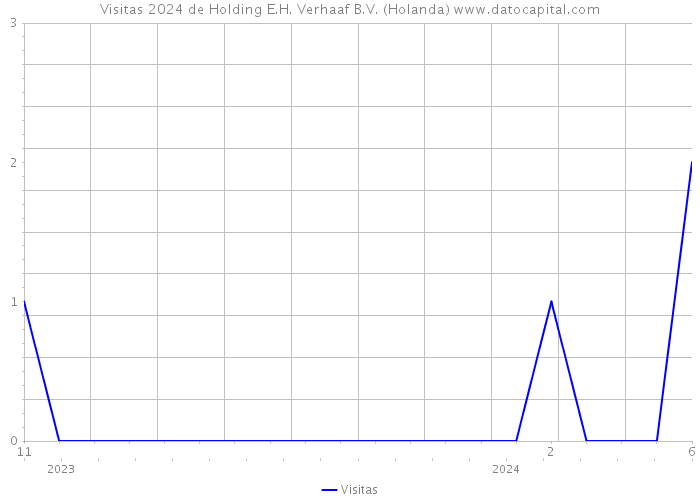 Visitas 2024 de Holding E.H. Verhaaf B.V. (Holanda) 