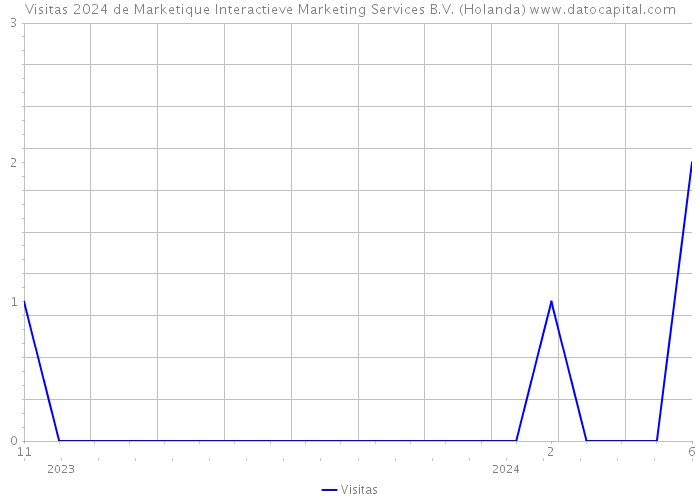 Visitas 2024 de Marketique Interactieve Marketing Services B.V. (Holanda) 