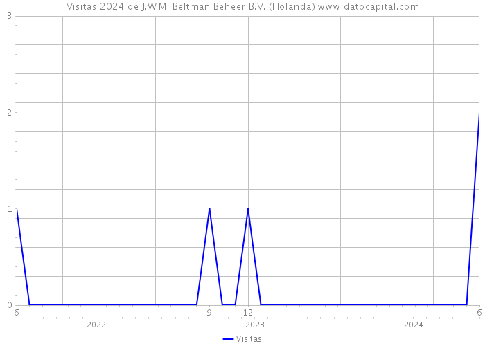 Visitas 2024 de J.W.M. Beltman Beheer B.V. (Holanda) 