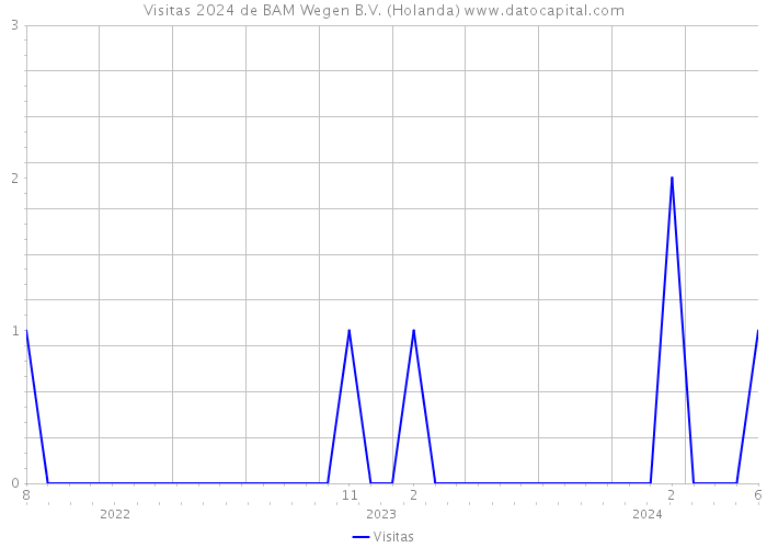 Visitas 2024 de BAM Wegen B.V. (Holanda) 