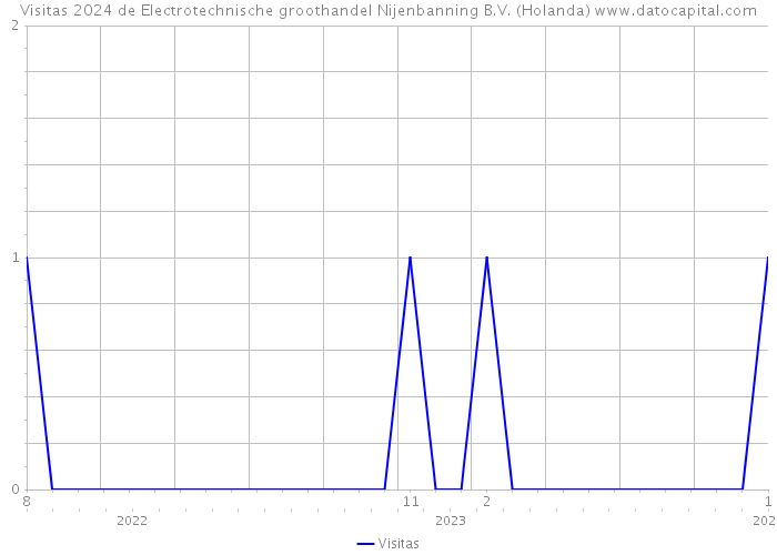 Visitas 2024 de Electrotechnische groothandel Nijenbanning B.V. (Holanda) 